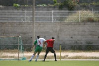 /album/a2011/img-7753-jpg/