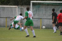 /album/a2011/img-7787-jpg/